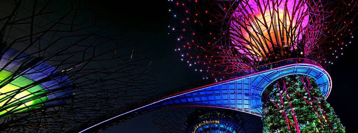 Night shot of multi-colored lights on tree structures in Singapore's Gardens By The Bay botanical garden.