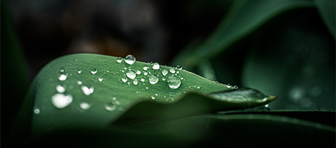 HOW GREEN GOALS ARE GOOD FOR BUSINESS